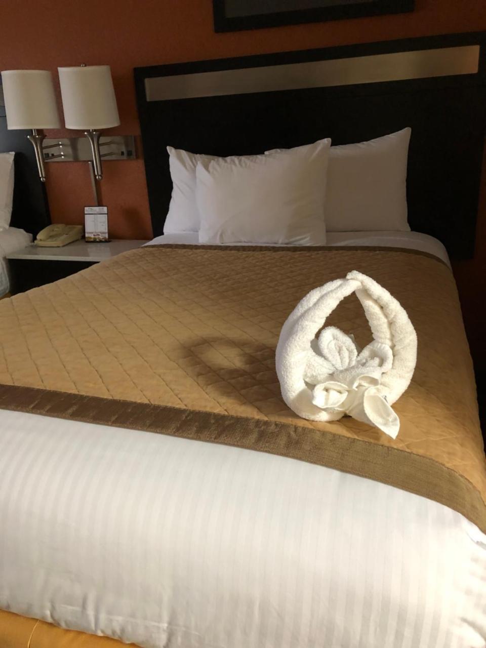 Baymont By Wyndham Cincinnati Sharonville Extérieur photo